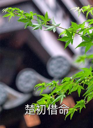 文章精选豪门爱情：老公你马甲掉了