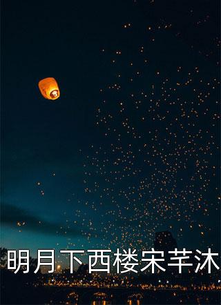 岑漾贺夜宸